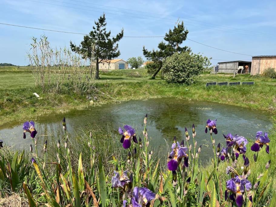 Maison De Charme Au Coeur Des Marais Pour 6 Pers. Буэн Экстерьер фото